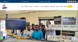 business website development project